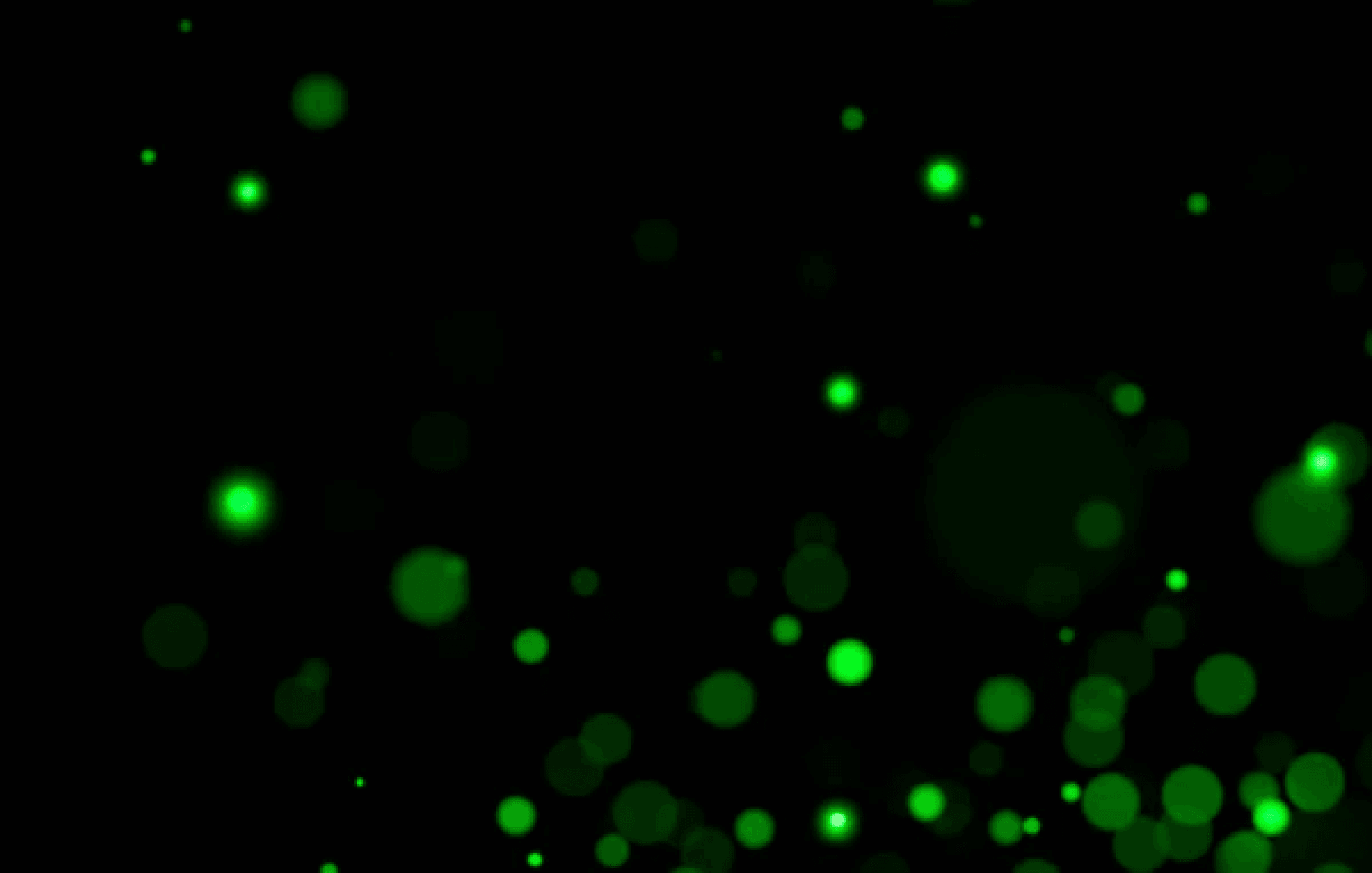 Glow in the Dark Nipple Cover Pasties - Outdoll