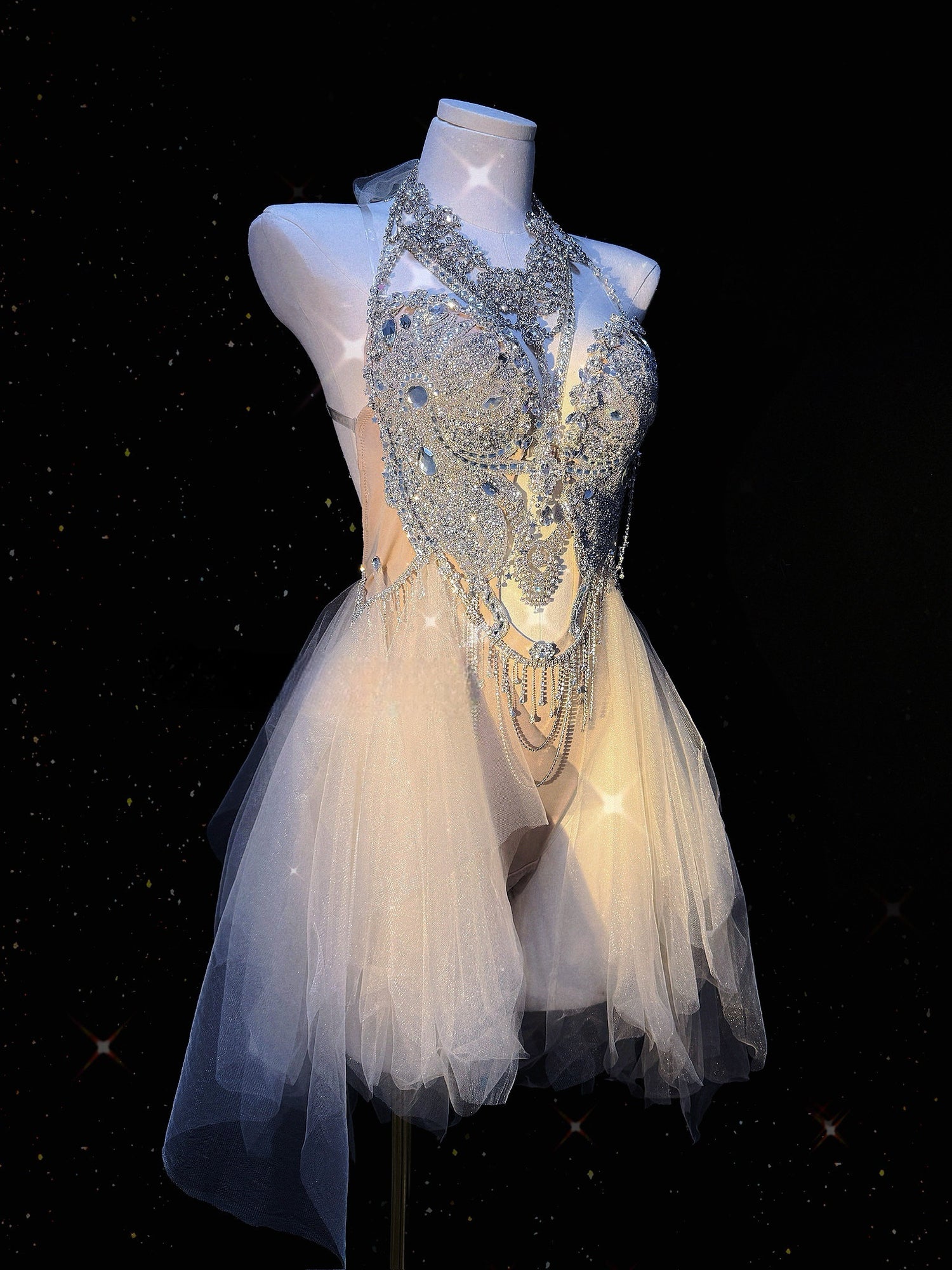 Fleeting Dream Embellished Onepiece